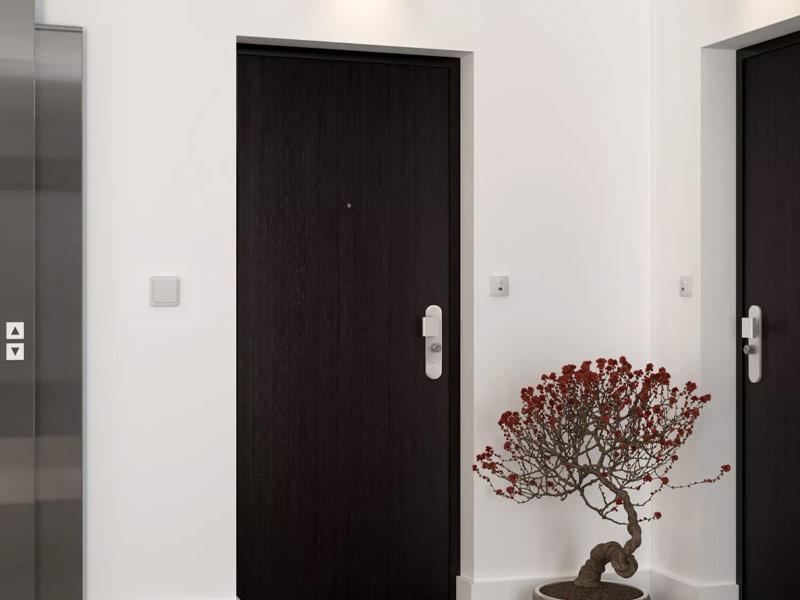 Razões para comprar portas de segurança em Lisboa